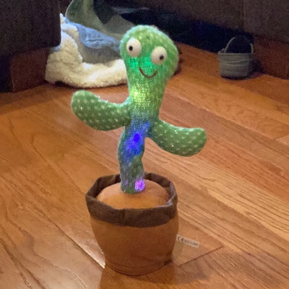 Cactus for kids. - Picture 11 of 14
